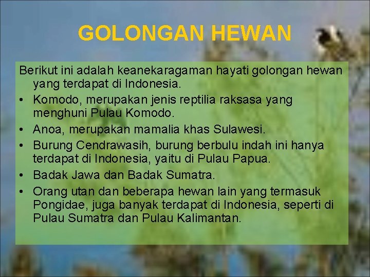 GOLONGAN HEWAN Berikut ini adalah keanekaragaman hayati golongan hewan yang terdapat di Indonesia. •