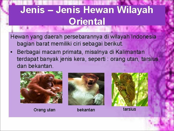 Jenis – Jenis Hewan Wilayah Oriental Hewan yang daerah persebarannya di wilayah Indonesia bagian