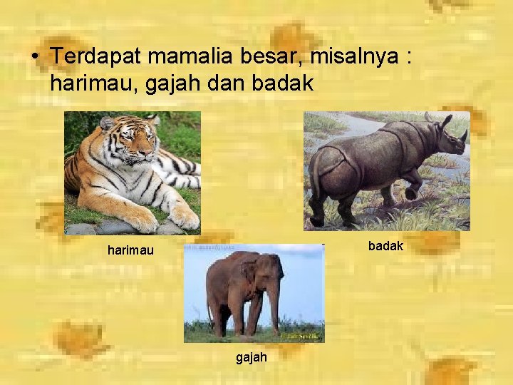  • Terdapat mamalia besar, misalnya : harimau, gajah dan badak harimau gajah 