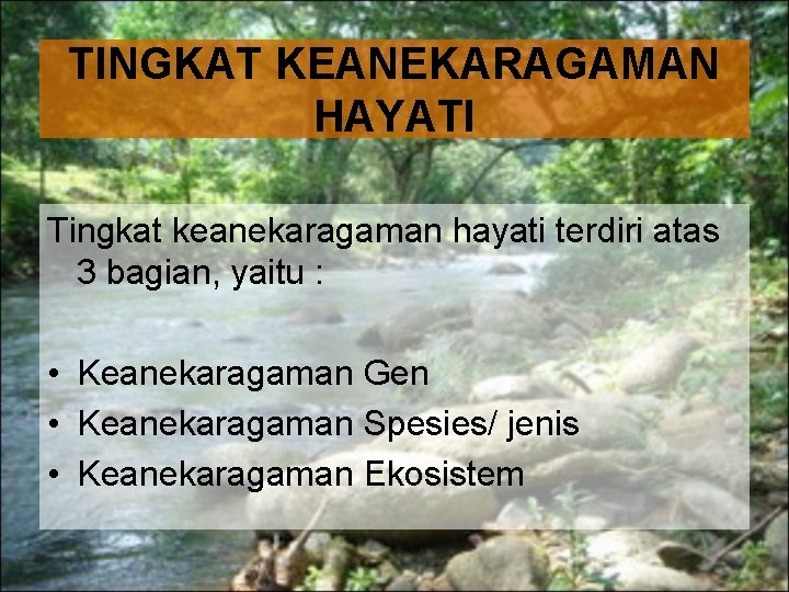 TINGKAT KEANEKARAGAMAN HAYATI Tingkat keanekaragaman hayati terdiri atas 3 bagian, yaitu : • Keanekaragaman