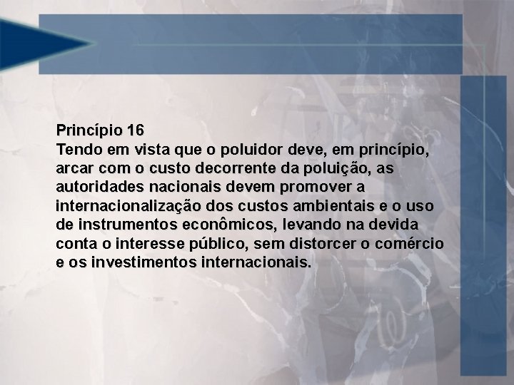 Princípio 16 Tendo em vista que o poluidor deve, em princípio, arcar com o