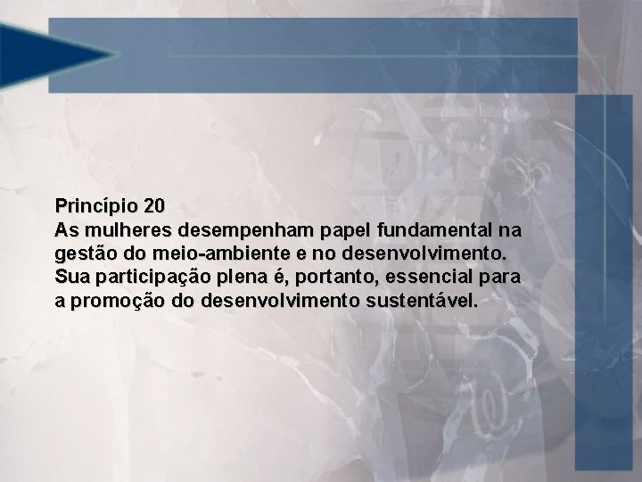 Princípio 20 As mulheres desempenham papel fundamental na gestão do meio-ambiente e no desenvolvimento.