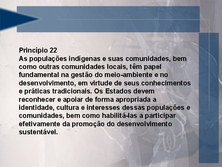 Princípio 22 As populações indígenas e suas comunidades, bem como outras comunidades locais, têm