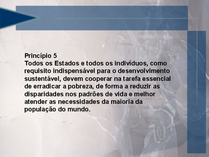 Princípio 5 Todos os Estados e todos os indivíduos, como requisito indispensável para o