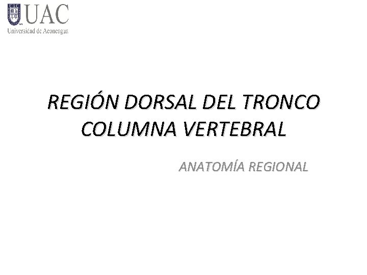 REGIÓN DORSAL DEL TRONCO COLUMNA VERTEBRAL ANATOMÍA REGIONAL 