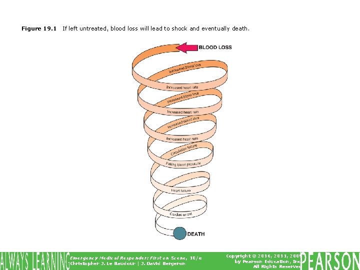 Figure 19. 1 If left untreated, blood loss will lead to shock and eventually