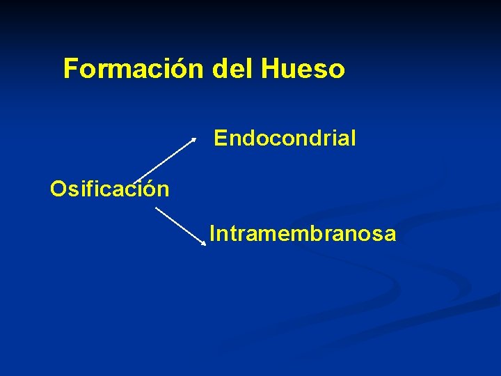 Formación del Hueso Endocondrial Osificación Intramembranosa 