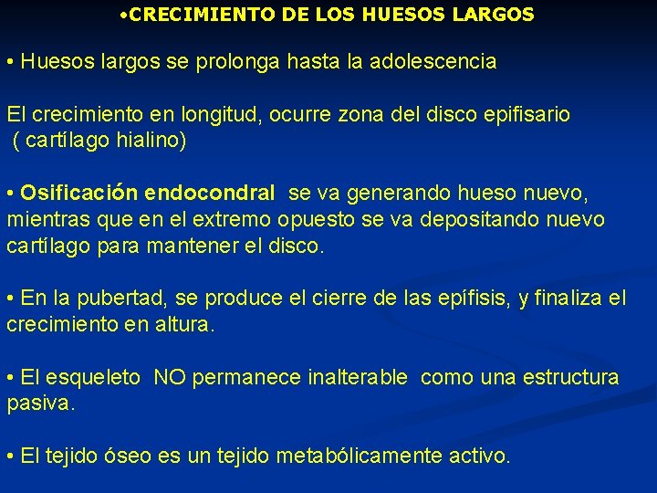  • CRECIMIENTO DE LOS HUESOS LARGOS • Huesos largos se prolonga hasta la