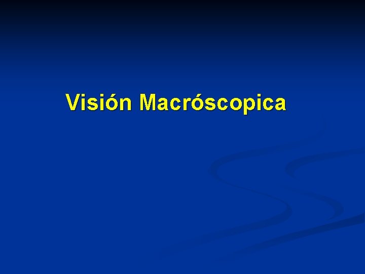 Visión Macróscopica 