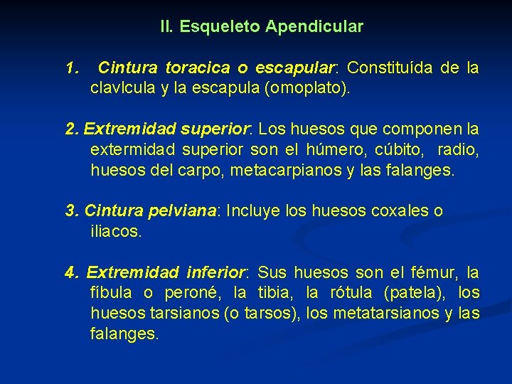 II. Esqueleto Apendicular 1. Cintura toracica o escapular: Constituída de la clavlcula y la