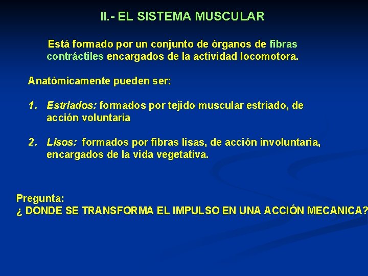 II. - EL SISTEMA MUSCULAR Está formado por un conjunto de órganos de fibras