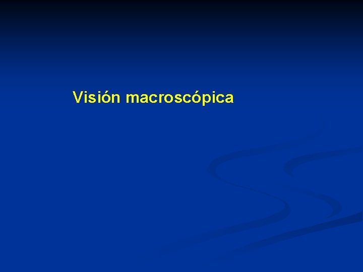 Visión macroscópica 