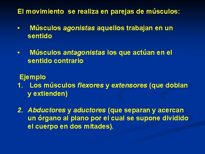 El movimiento se realiza en parejas de músculos: • Músculos agonistas aquellos trabajan en