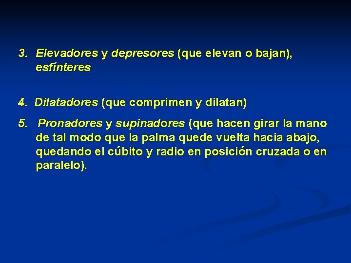 3. Elevadores y depresores (que elevan o bajan), esfínteres 4. Dilatadores (que comprimen y