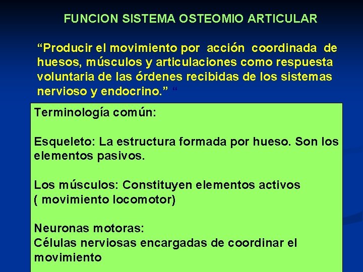 FUNCION SISTEMA OSTEOMIO ARTICULAR “Producir el movimiento por acción coordinada de huesos, músculos y