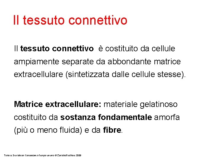 Il tessuto connettivo è costituito da cellule ampiamente separate da abbondante matrice extracellulare (sintetizzata