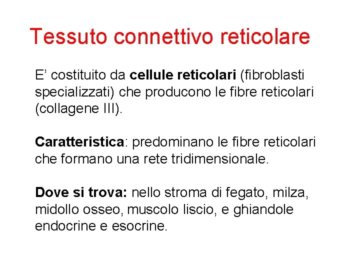  Tessuto connettivo reticolare E’ costituito da cellule reticolari (fibroblasti specializzati) che producono le
