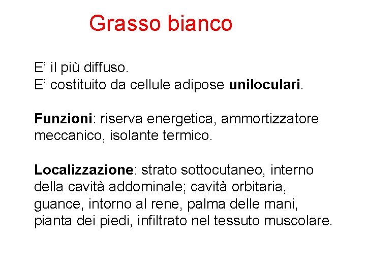  Grasso bianco E’ il più diffuso. E’ costituito da cellule adipose uniloculari. Funzioni: