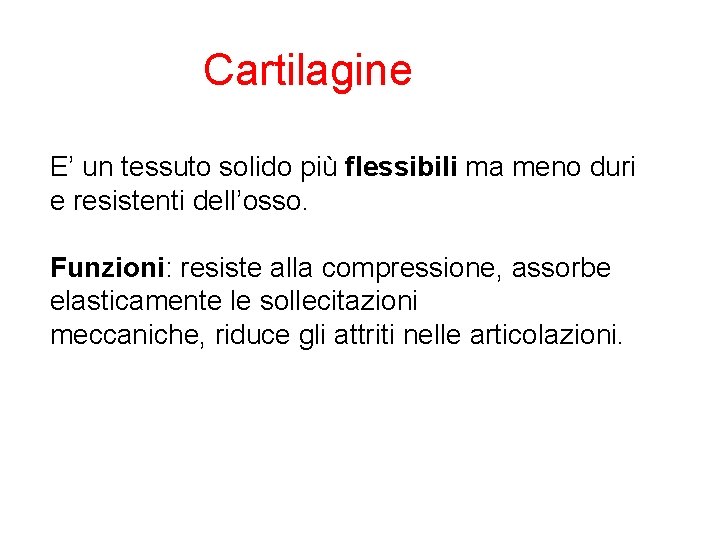 Cartilagine E’ un tessuto solido più flessibili ma meno duri e resistenti dell’osso. Funzioni:
