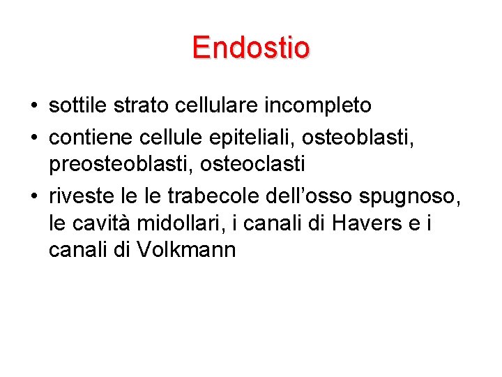 Endostio • sottile strato cellulare incompleto • contiene cellule epiteliali, osteoblasti, preosteoblasti, osteoclasti •