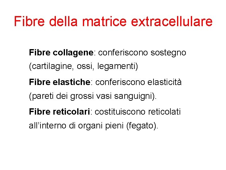 Fibre della matrice extracellulare Fibre collagene: conferiscono sostegno (cartilagine, ossi, legamenti) Fibre elastiche: conferiscono
