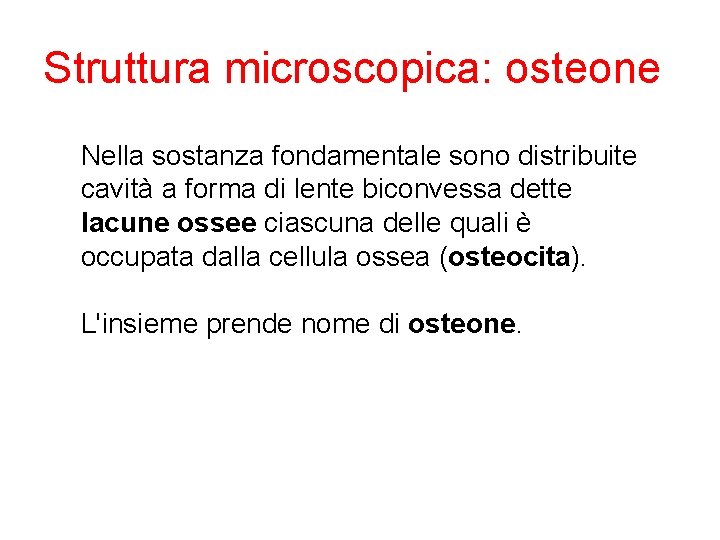 Struttura microscopica: osteone Nella sostanza fondamentale sono distribuite cavità a forma di lente biconvessa