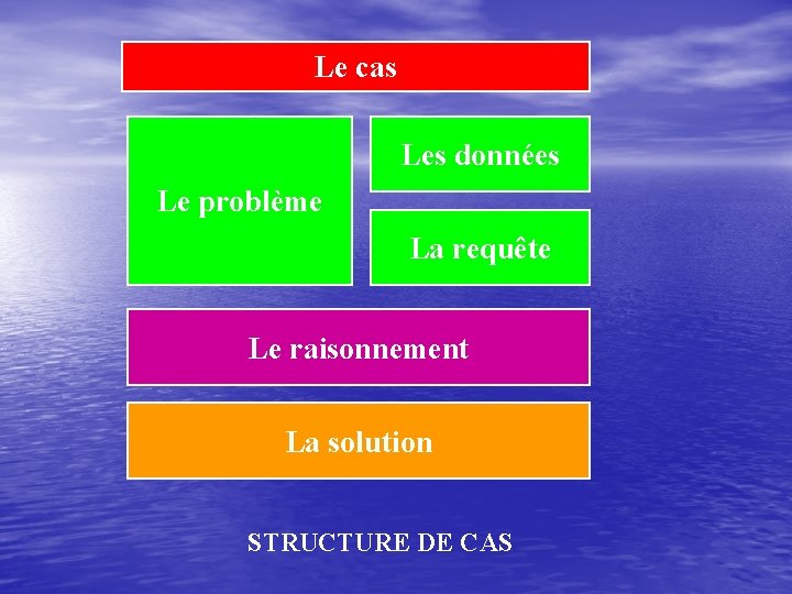 Le cas Les données Le problème La requête Le raisonnement La solution STRUCTURE DE