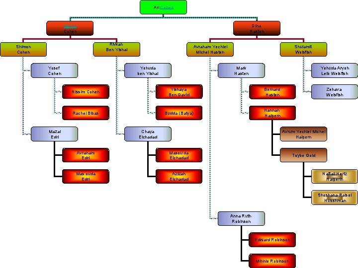 Ari Cohen Itamar Cohen Dina Hasten Rivkah Ben Yishai Shimon Cohen Yosef Cohen Avraham