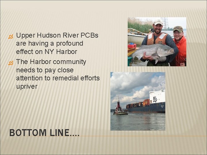  Upper Hudson River PCBs are having a profound effect on NY Harbor The