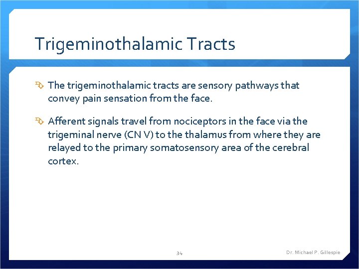 Trigeminothalamic Tracts The trigeminothalamic tracts are sensory pathways that convey pain sensation from the