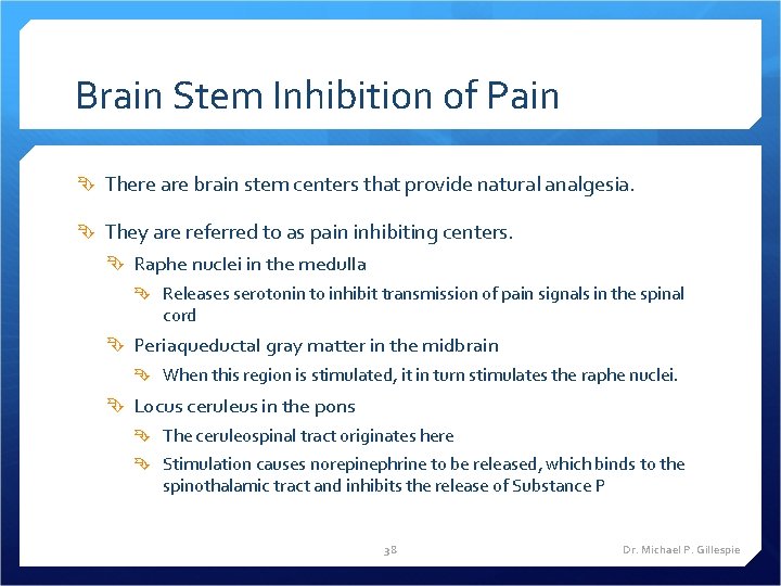Brain Stem Inhibition of Pain There are brain stem centers that provide natural analgesia.
