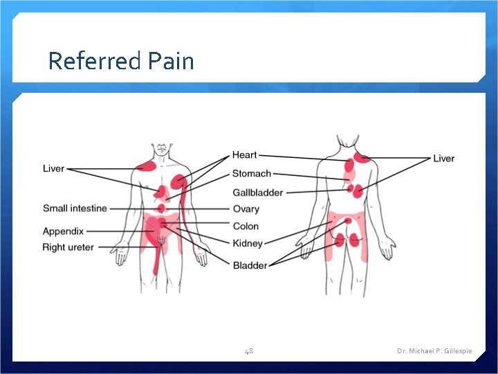 Referred Pain 48 Dr. Michael P. Gillespie 