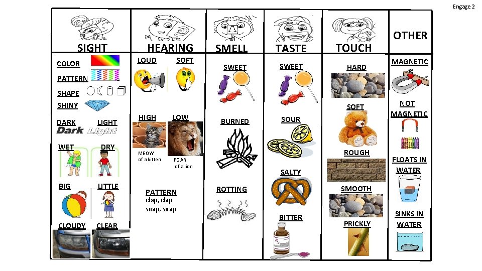 Engage 2 SIGHT COLOR HEARING LOUD SOFT SMELL SWEET TASTE SWEET TOUCH HARD OTHER