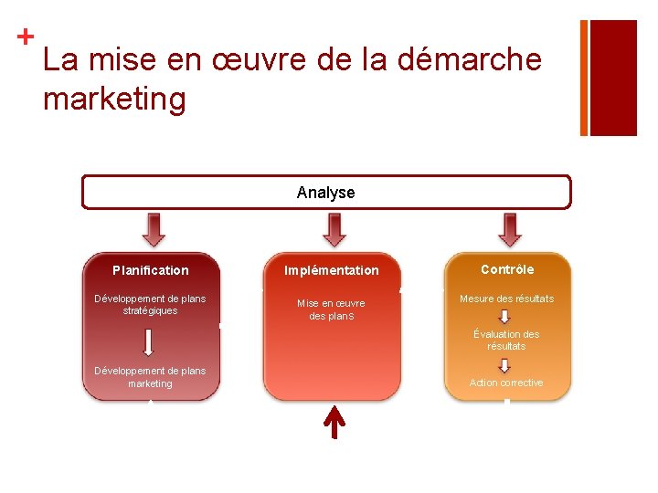 + La mise en œuvre de la démarche marketing Analyse Planification Implémentation Contrôle Développement