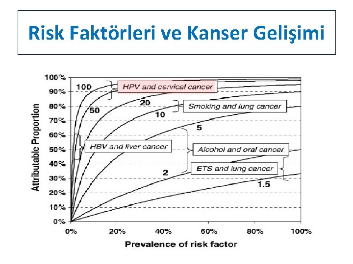 Risk Faktörleri ve Kanser Gelişimi 