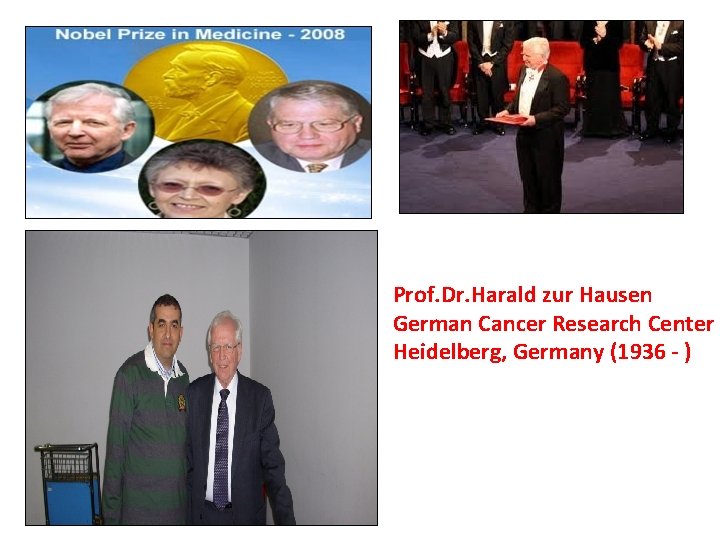 Prof. Dr. Harald zur Hausen German Cancer Research Center Heidelberg, Germany (1936 - )