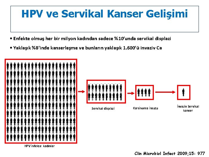 HPV ve Servikal Kanser Gelişimi • Enfekte olmuş her bir milyon kadından sadece %10’unda