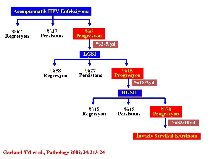 Asemptomatik HPV Enfeksiyonu %67 Regresyon %27 Persistans %6 Progresyon %2 -5/yıl LGSI L %58