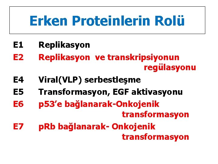 Erken Proteinlerin Rolü E 1 E 2 E 4 E 5 E 6 E