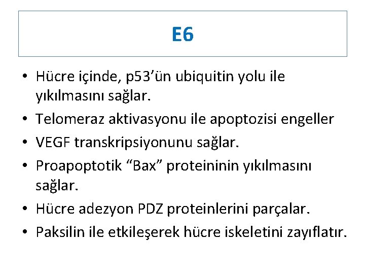 E 6 • Hücre içinde, p 53’ün ubiquitin yolu ile yıkılmasını sağlar. • Telomeraz
