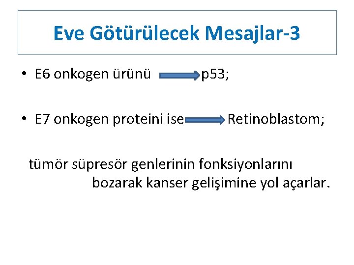 Eve Götürülecek Mesajlar-3 • E 6 onkogen ürünü • E 7 onkogen proteini ise
