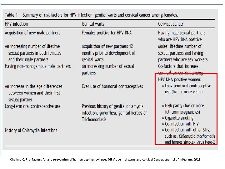 Chelimo C. Risk factors for and prevention of human papillomaviruses (HPV), genital warts and