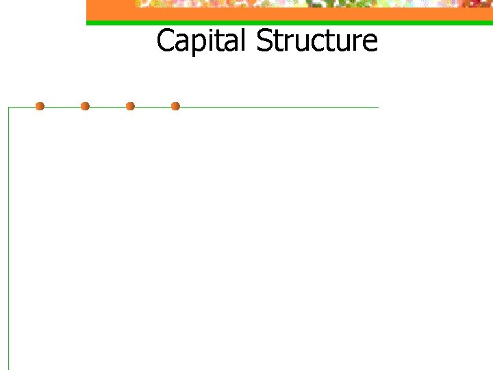 Capital Structure 