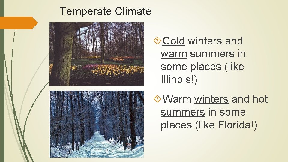 Temperate Climate Cold winters and warm summers in some places (like Illinois!) Warm winters