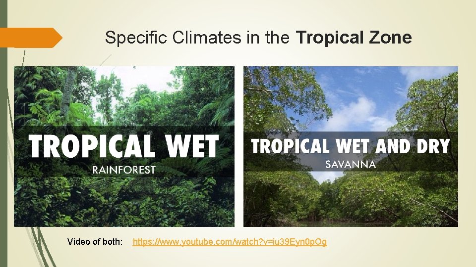 Specific Climates in the Tropical Zone Video of both: https: //www. youtube. com/watch? v=iu