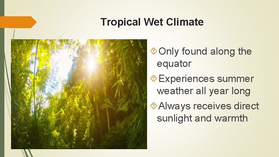 Tropical Wet Climate Only found along the equator Experiences summer weather all year long