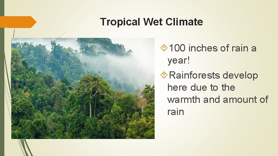 Tropical Wet Climate 100 inches of rain a year! Rainforests develop here due to