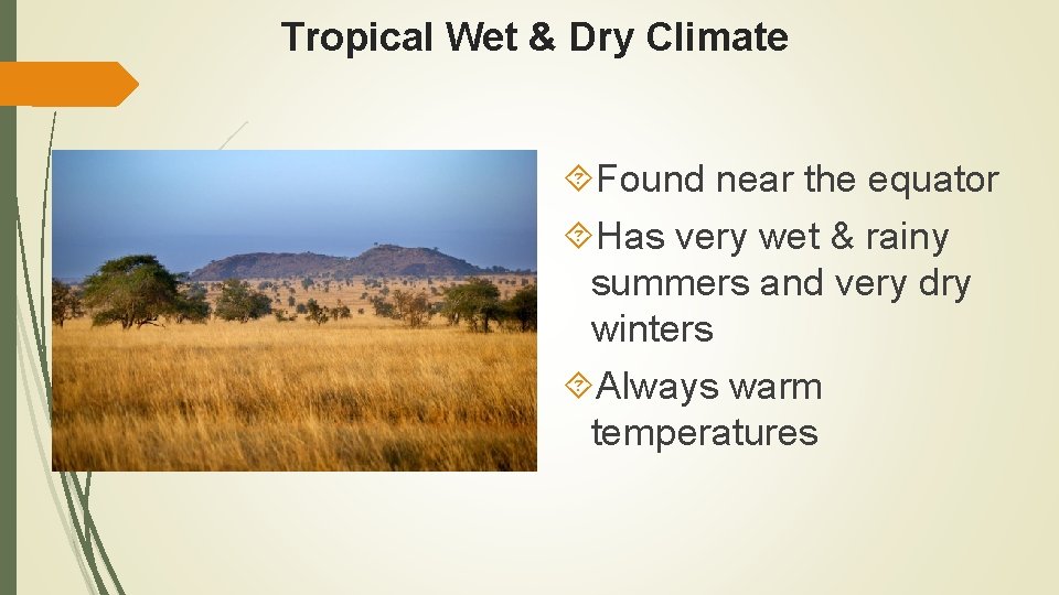 Tropical Wet & Dry Climate Found near the equator Has very wet & rainy