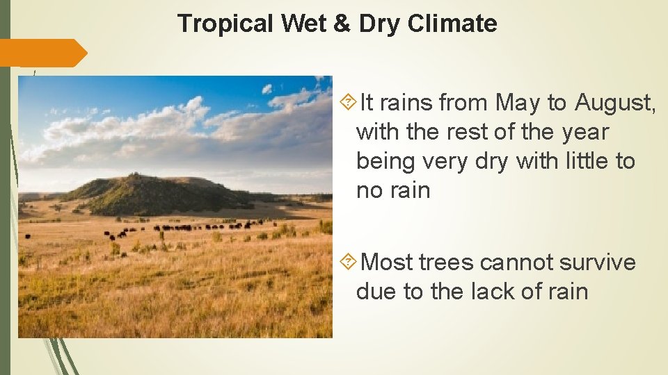 Tropical Wet & Dry Climate It rains from May to August, with the rest