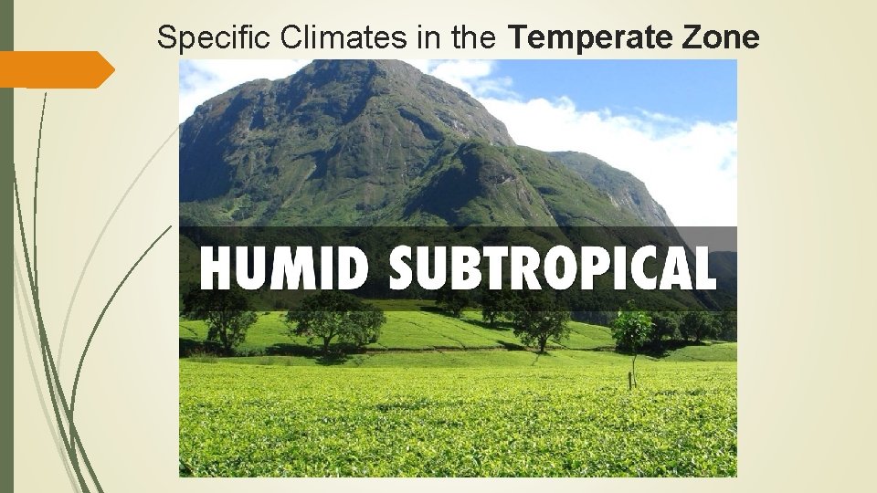 Specific Climates in the Temperate Zone 